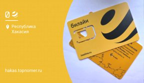 Билайн повысил плату за замену используемой SIM-карты